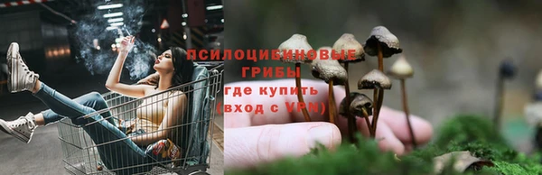 прущая мука Лабытнанги