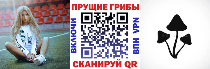 Псилоцибиновые грибы Psilocybine cubensis  Купить  Нижнеудинск 